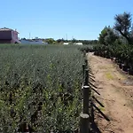 Nyaraló Vale Da Rosa *