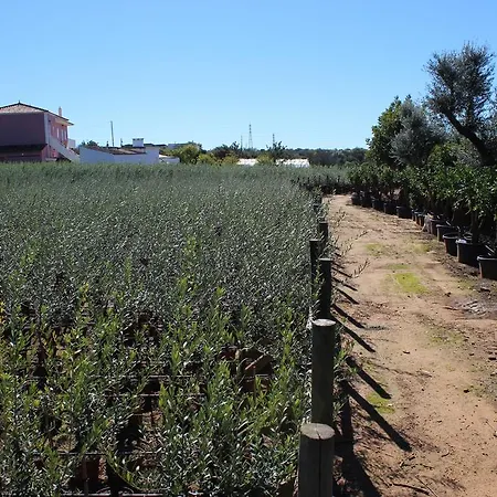 Holiday home Vale Da Rosa *