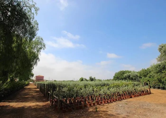 Vale Da Rosa Casa de Férias