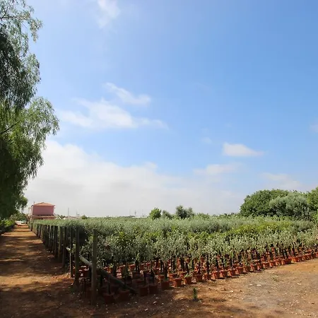 Vale Da Rosa 度假居