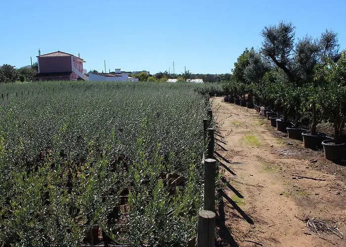 펜션 Vale Da Rosa *